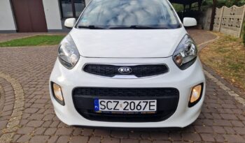 KIA Picanto  | FWD (przód) | Manualna | 69 KM | Biały full