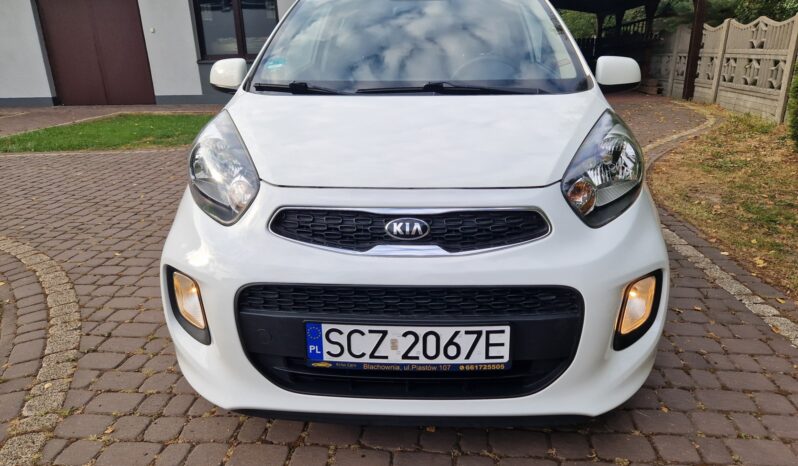 KIA Picanto  | FWD (przód) | Manualna | 69 KM | Biały full