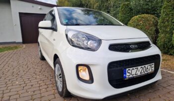 KIA Picanto  | FWD (przód) | Manualna | 69 KM | Biały full