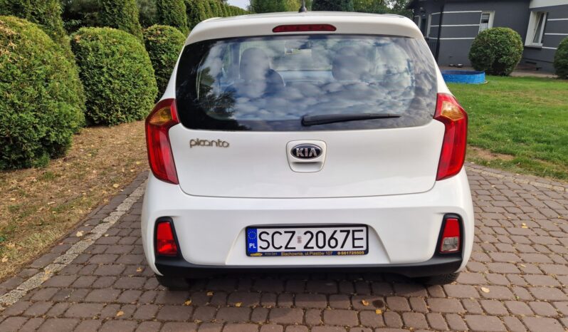 KIA Picanto  | FWD (przód) | Manualna | 69 KM | Biały full