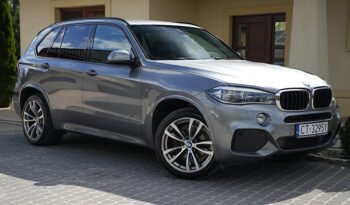 BMW X5  | 4×4 (stały) | Automatyczna | 231 KM | Szary full