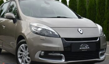 RENAULT   Scenic     110 KM    Manualna    FWD (przód)    Brązowy full