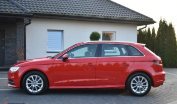 AUDI   A3     110 KM    Manualna    FWD (przód)    Czerwony full