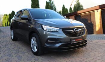 OPEL Grandland X | 2021 | 130 KM | 1500cm3 | Szary full