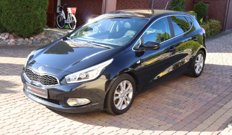 KIA Ceed  | 2015 | 128 KM | 1600cm3 | Czarny full