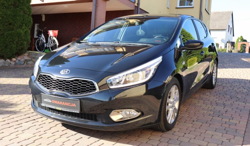 KIA Ceed  | 2015 | 128 KM | 1600cm3 | Czarny full