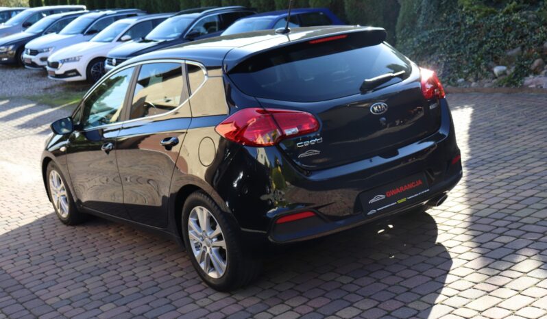 KIA Ceed  | 2015 | 128 KM | 1600cm3 | Czarny full