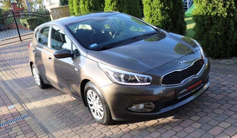 KIA Ceed  | 2015 | 99 KM | 1400cm3 | Brązowy full