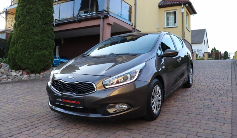 KIA Ceed  | 2015 | 99 KM | 1400cm3 | Brązowy full