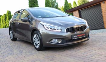 KIA Ceed  | 2015 | 99 KM | 1400cm3 | Brązowy full