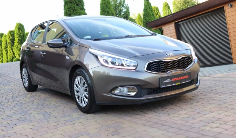 KIA Ceed  | 2015 | 99 KM | 1400cm3 | Brązowy full