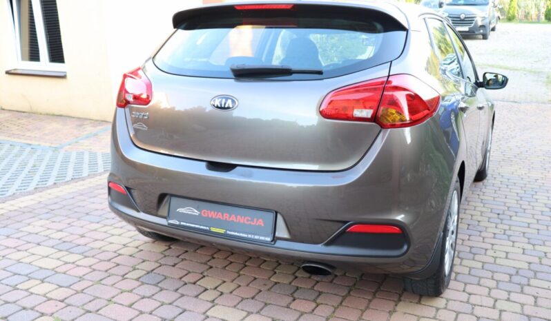 KIA Ceed  | 2015 | 99 KM | 1400cm3 | Brązowy full