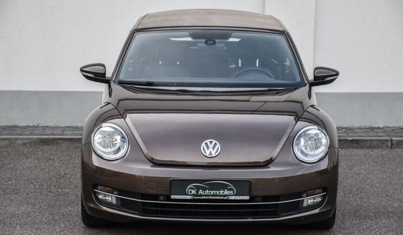 VOLKSWAGEN New Beetle  | FWD (przód) | Manualna | 105 KM | Brązowy full