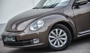 VOLKSWAGEN New Beetle  | FWD (przód) | Manualna | 105 KM | Brązowy full