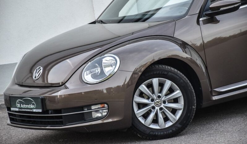 VOLKSWAGEN New Beetle  | FWD (przód) | Manualna | 105 KM | Brązowy full