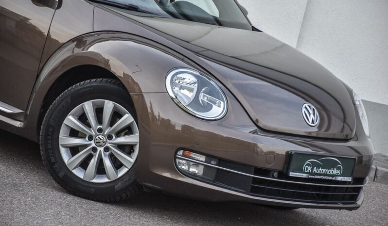 VOLKSWAGEN New Beetle  | FWD (przód) | Manualna | 105 KM | Brązowy full