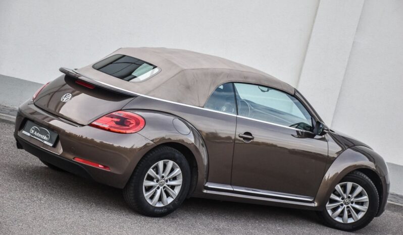 VOLKSWAGEN New Beetle  | FWD (przód) | Manualna | 105 KM | Brązowy full