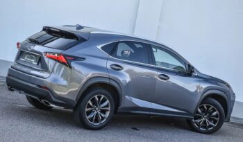 LEXUS NX | 4×4 (doł. automatycznie) | Automatyczna | 238 KM | full