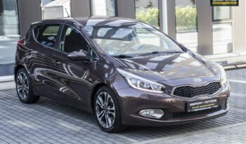 KIA Ceed  | FWD (przód) | Automatyczna | 135 KM | Brązowy full