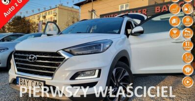 Hyundai Tucson  | 4X4 (Doł. Automatycznie) | Automatyczna | 185 Km | Biały