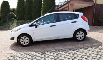 FORD Fiesta  | 2015 | 59 KM | 1242cm3 | Biały full