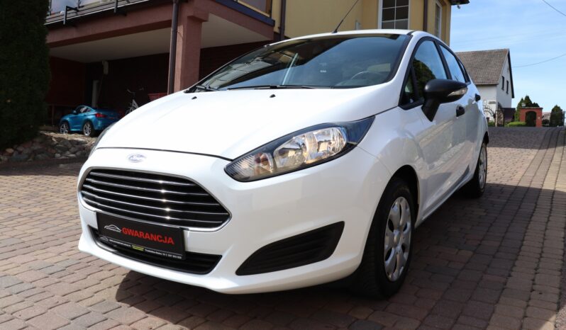 FORD Fiesta  | 2015 | 59 KM | 1242cm3 | Biały full