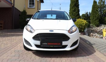 FORD Fiesta  | 2015 | 59 KM | 1242cm3 | Biały full