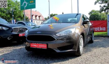 FORD Focus  | FWD (przód) | Manualna | 105 KM | Brązowy full