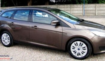 FORD Focus  | FWD (przód) | Manualna | 95 KM | Brązowy full