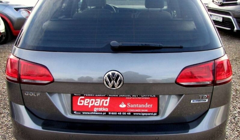 VOLKSWAGEN Golf  | FWD (przód) | Manualna | 110 KM | Szary full