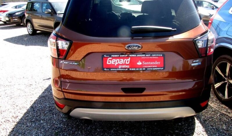 FORD Escape  | 4×4 (doł. automatycznie) | Automatyczna | 180 KM | Brązowy full