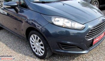 FORD Fiesta  | FWD (przód) | Manualna | 75 KM | Szary full
