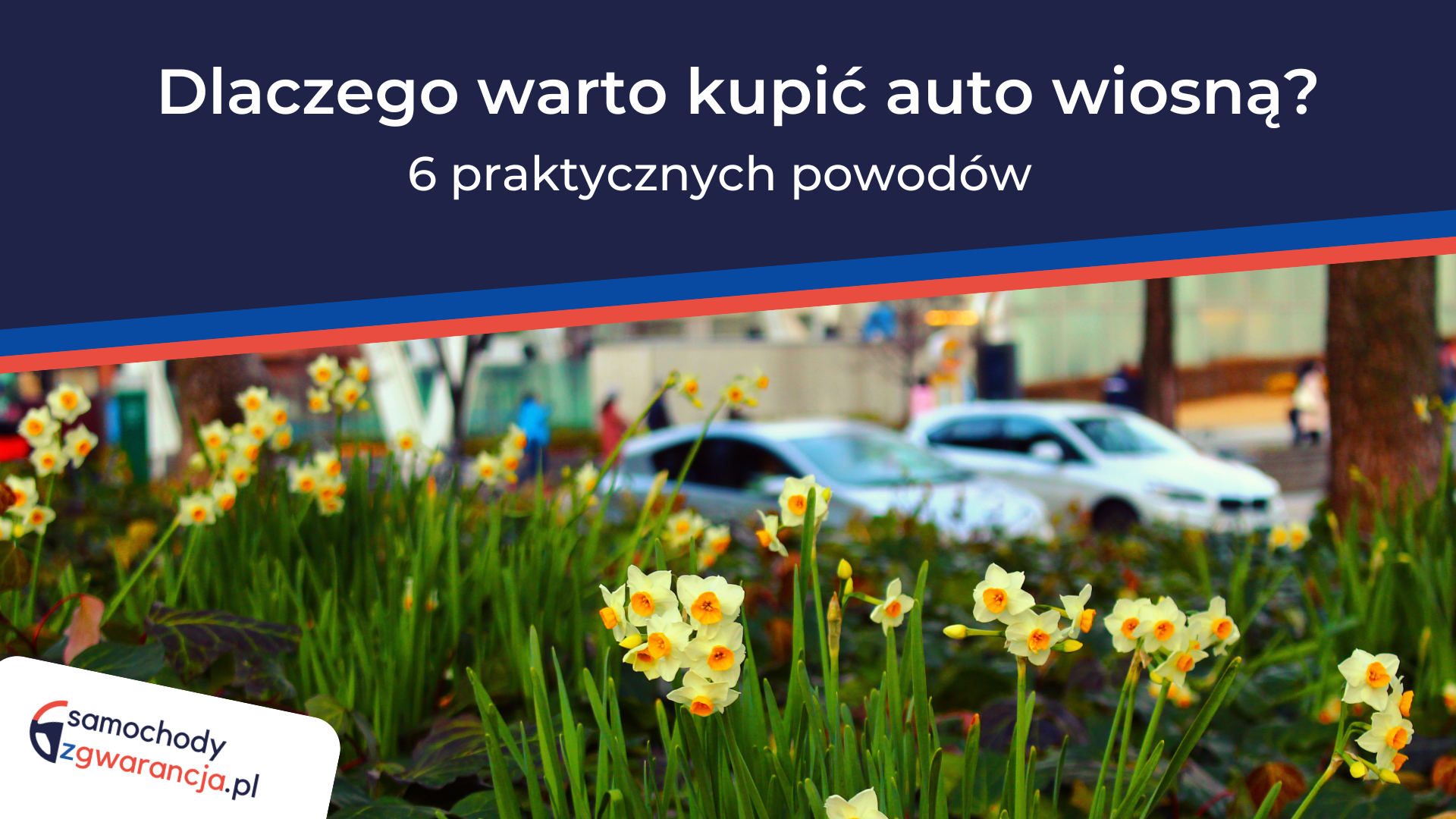 dlaczego-warto-kupic-auto-wiosna dlaczego-warto-kupic-auto-wiosna