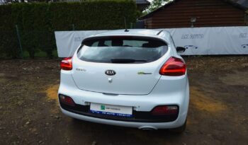KIA Proceed | FWD (przód) | Manualna | 135 KM | Biały full