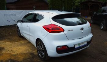 KIA Proceed | FWD (przód) | Manualna | 135 KM | Biały full