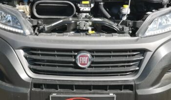 FIAT Ducato  | FWD (przód) | Manualna | 160 KM | Biały full