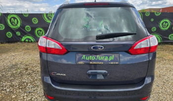 FORD Grand C-Max  | FWD (przód) | Manualna | 115 KM | Szary full