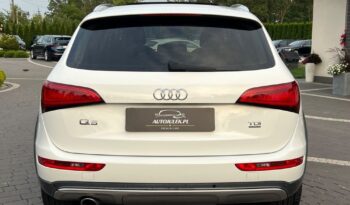 AUDI   Q5     177 KM    Automatyczna    4×4 (stały)    Biały full