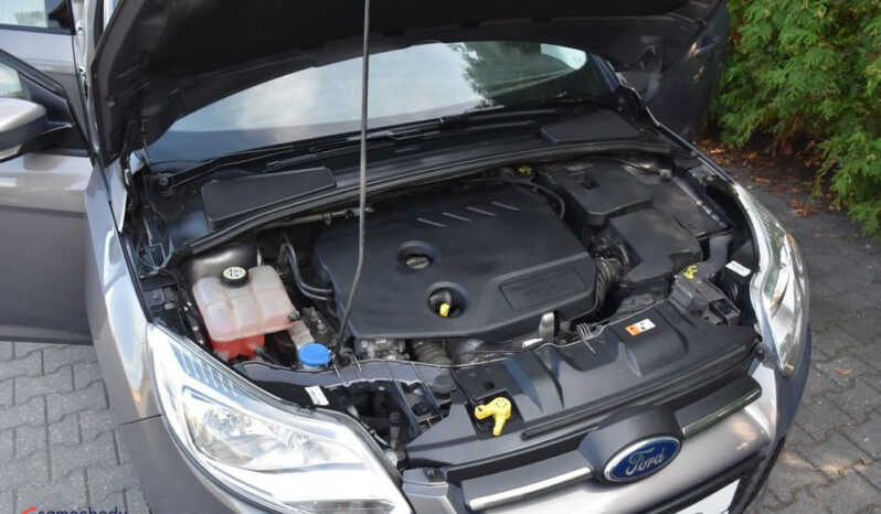 FORD Focus  | FWD (przód) | Manualna | 95 KM | Brązowy full
