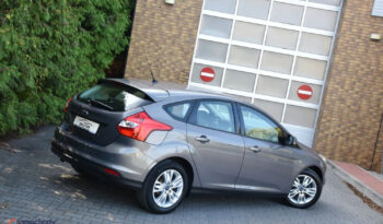 FORD Focus  | FWD (przód) | Manualna | 95 KM | Brązowy full