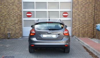 FORD Focus  | FWD (przód) | Manualna | 95 KM | Brązowy full