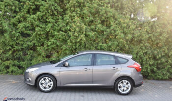 FORD Focus  | FWD (przód) | Manualna | 95 KM | Brązowy full