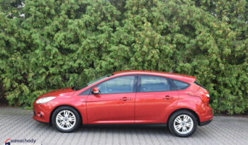 FORD Focus  | FWD (przód) | Manualna | 115 KM | Czerwony full