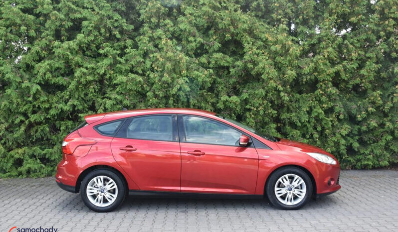 FORD Focus  | FWD (przód) | Manualna | 115 KM | Czerwony full