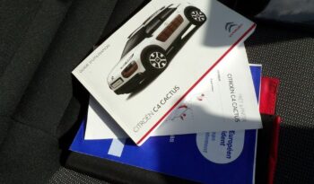 CITROEN C4 Cactus  | FWD (przód) | Manualna | 100 KM | Srebrny full