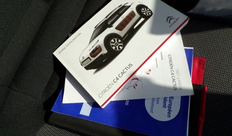 CITROEN C4 Cactus  | FWD (przód) | Manualna | 100 KM | Srebrny full