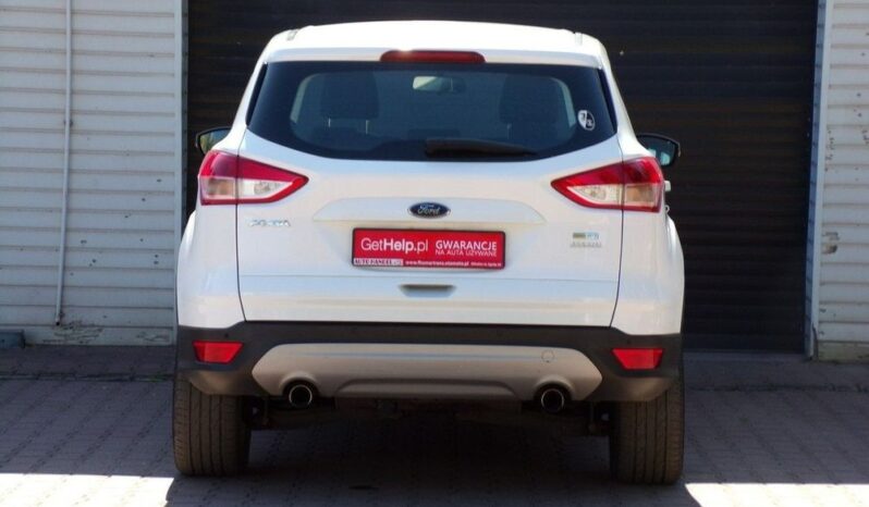 FORD Kuga  | FWD (przód) | Manualna | 120 KM | Biały full
