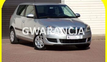 Skoda Fabia  | Fwd (Przód) | Manualna | 60 Km | Srebrny