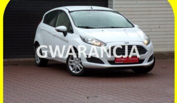 Ford Fiesta  | Fwd (Przód) | Manualna | 82 Km | Biały