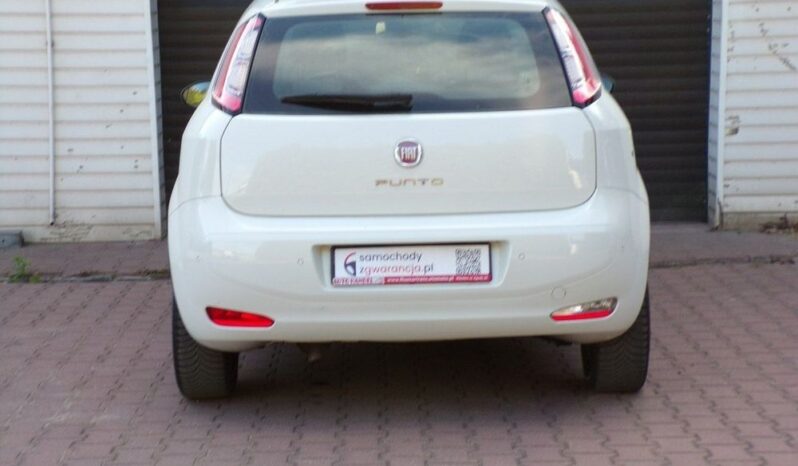 FIAT Punto Evo  | FWD (przód) | Manualna | 76 KM | Biały full